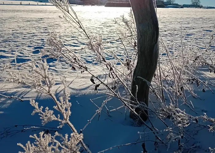 Appartement Casa Lobi - Mit Ausblick! Korbach